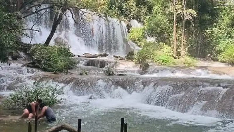 naturaleza